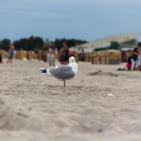 Ferienwohnungen-Neue-Tiefe-Wohnung-Kleiderbuegel Neue Tiefe Fehmarn Zewnętrze zdjęcie
