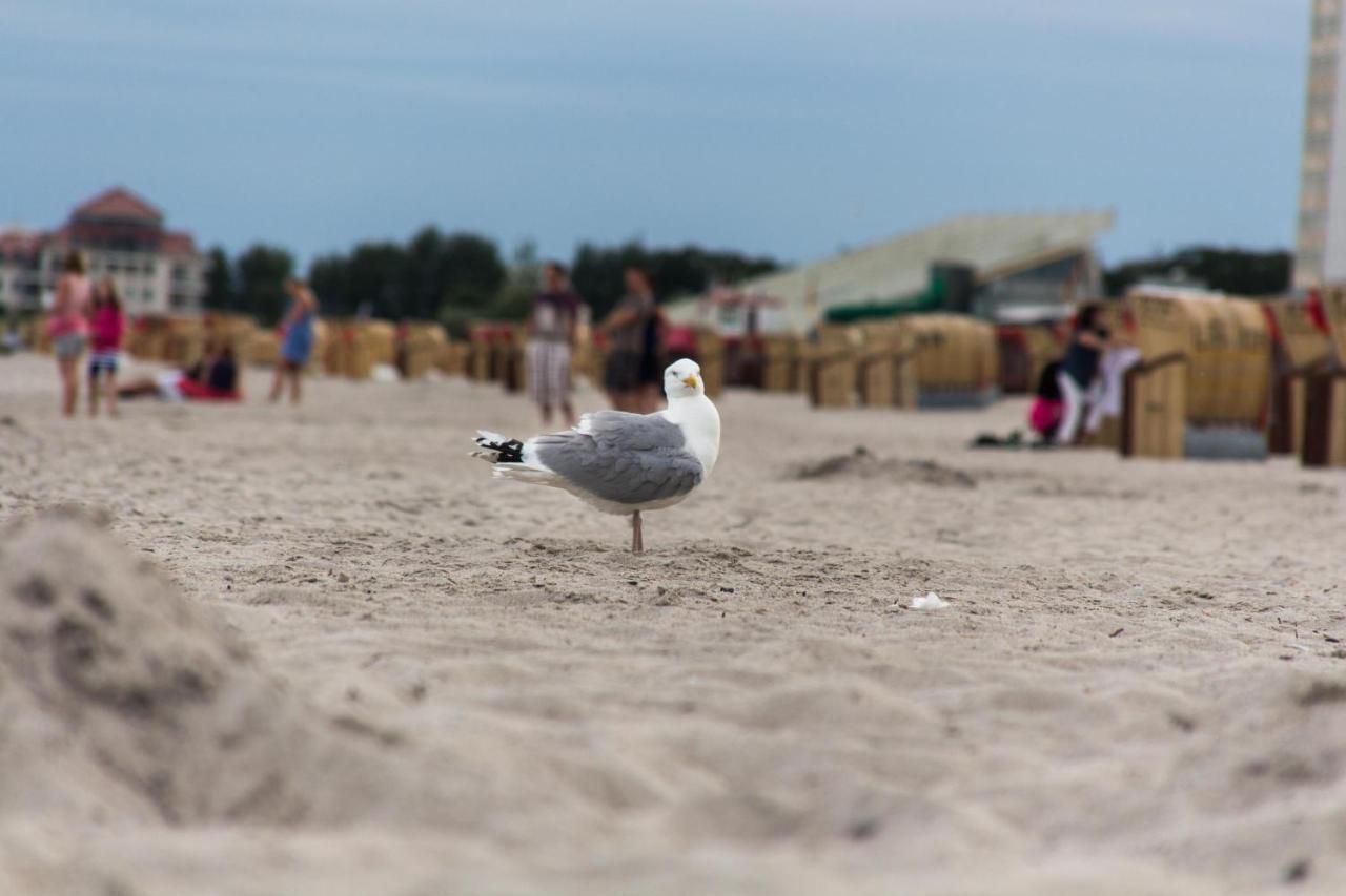 Ferienwohnungen-Neue-Tiefe-Wohnung-Kleiderbuegel Neue Tiefe Fehmarn Zewnętrze zdjęcie